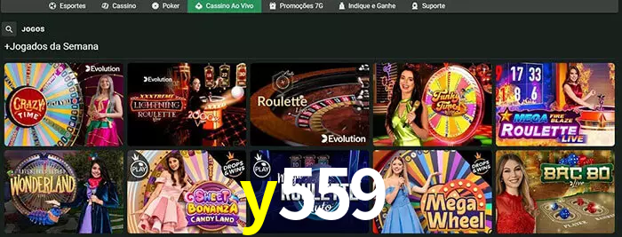 y559 bet